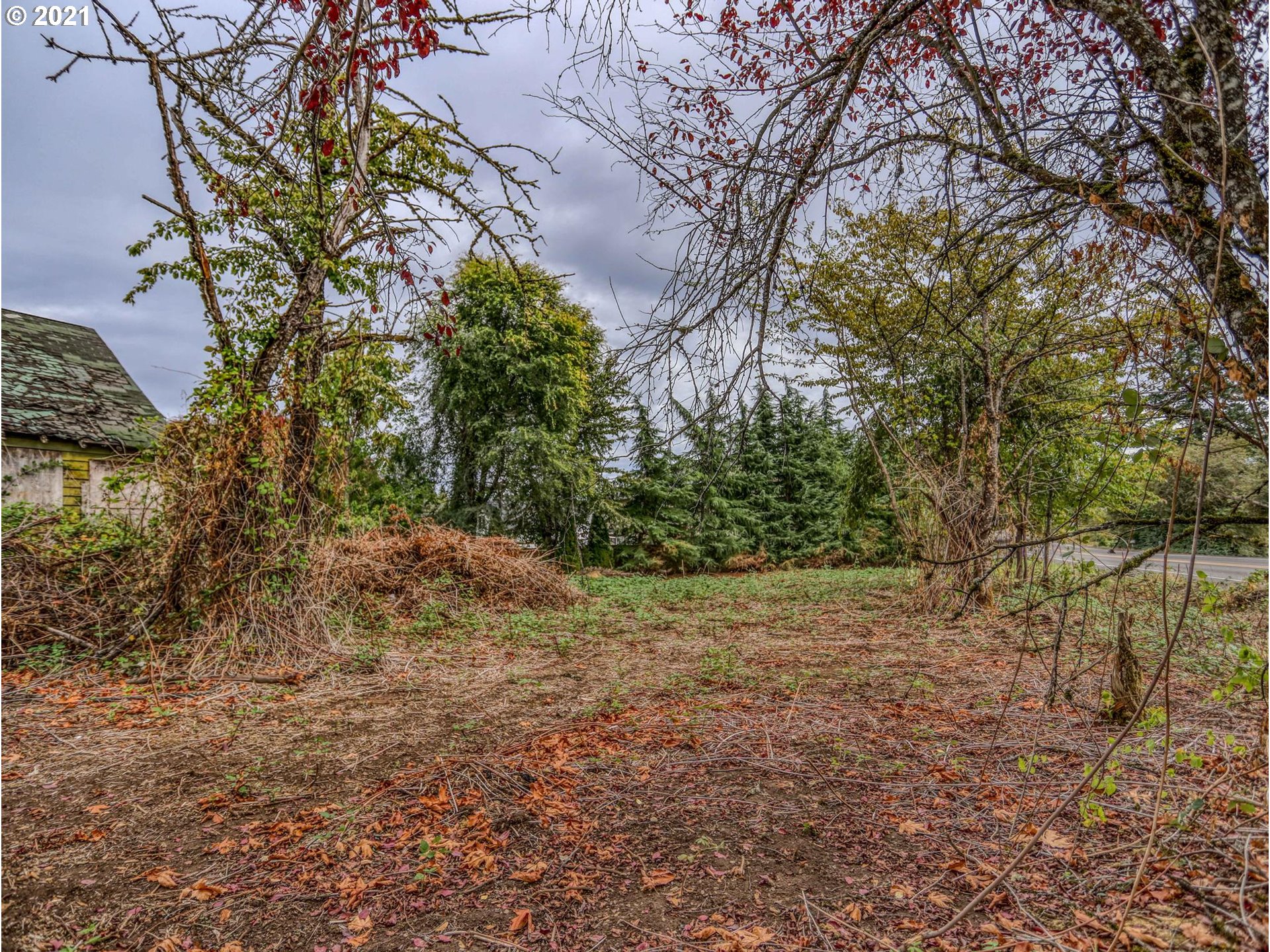 30148 Southeast Bluff Road Gresham, OR 97080 - Photo 22 of 22 a view of a yard with a tree