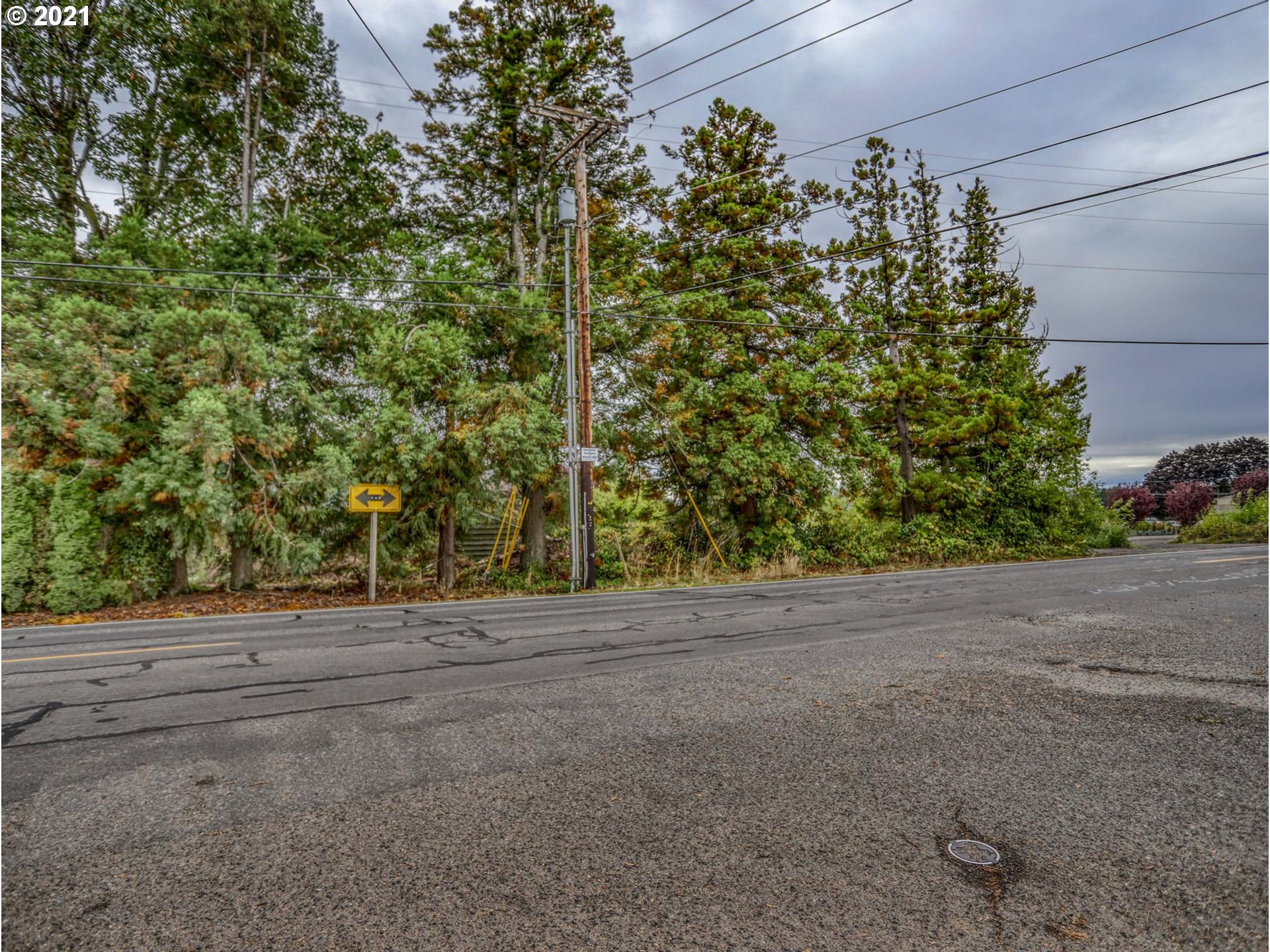 30148 Southeast Bluff Road Gresham, OR 97080 - Photo 5 of 22 a view of a plants and a yard
