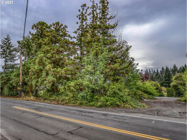 a view of a yard from a window
