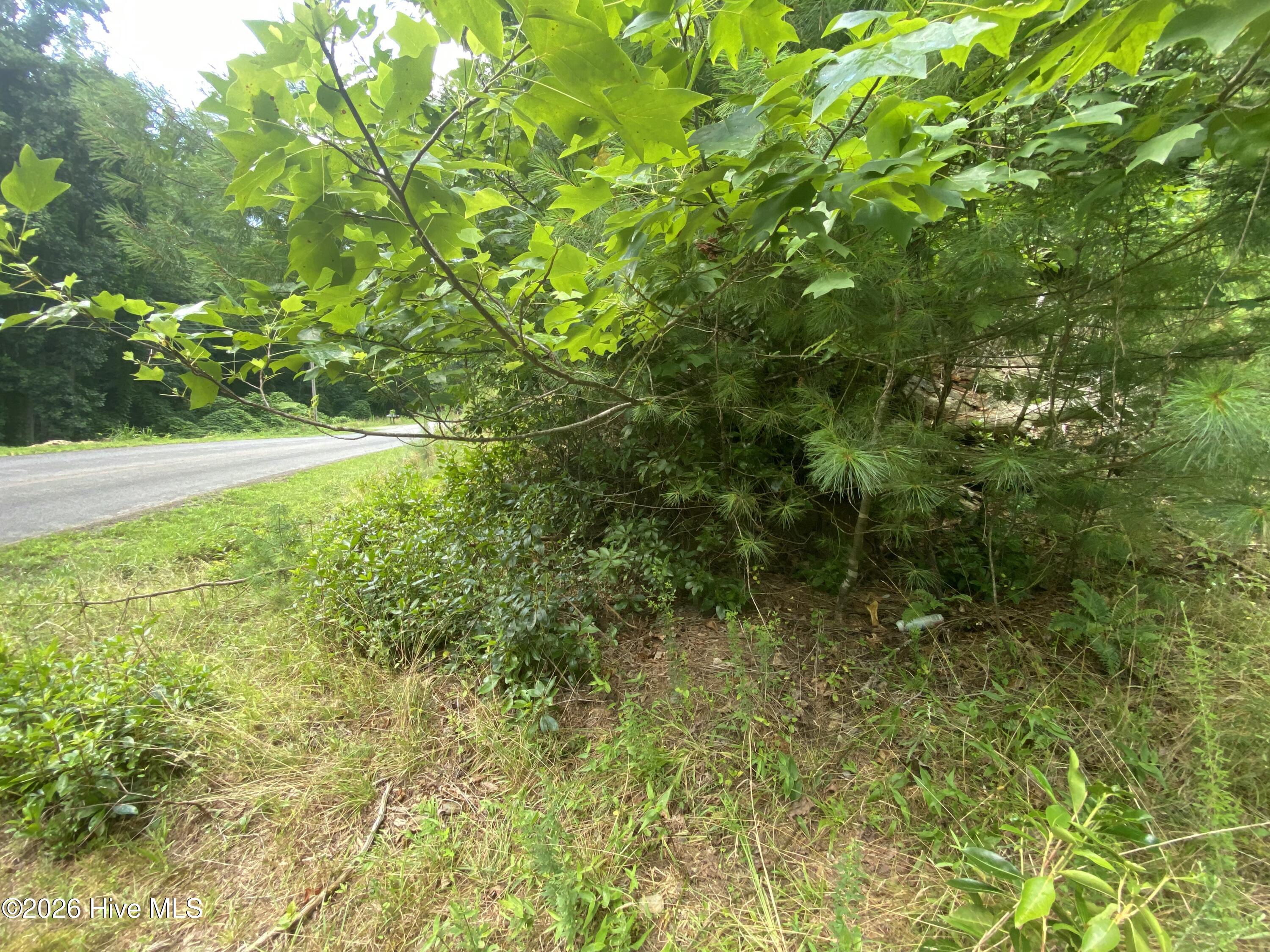367 Chastain Road Murphy, NC 28906 - Photo 9 of 12