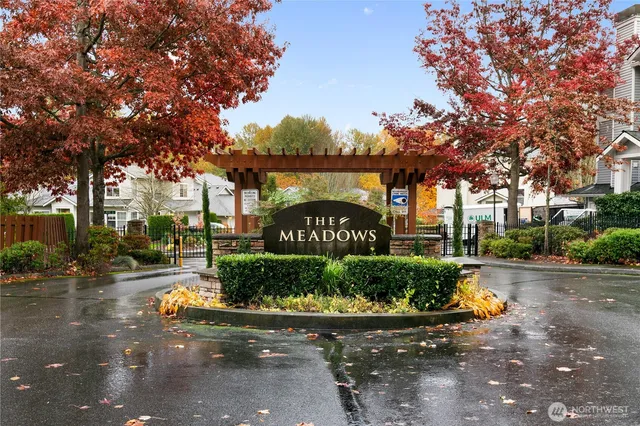 a view of a park that has large trees