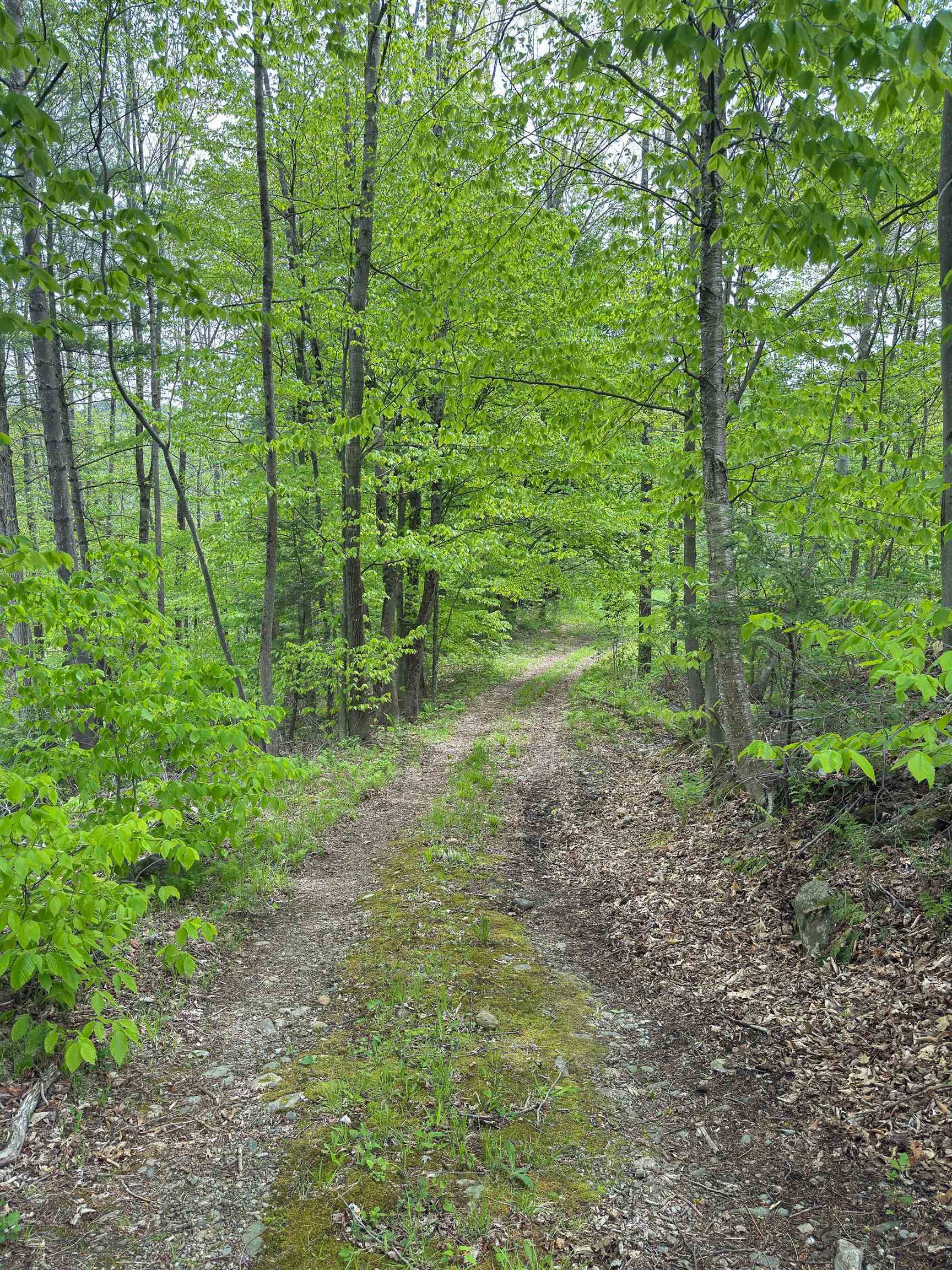 3051 Highway 107 Stockbridge, VT 05772 - Photo 13 of 30