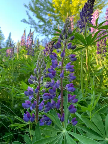 $639,000 | 20 Harvest Ridge Road, Unit 23, Freeport, ME 04032