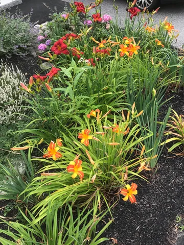 $639,000 | 20 Harvest Ridge Road, Unit 23, Freeport, ME 04032