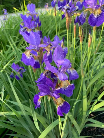 $639,000 | 20 Harvest Ridge Road, Unit 23, Freeport, ME 04032