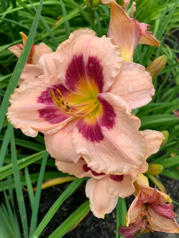 $639,000 | 20 Harvest Ridge Road, Unit 23, Freeport, ME 04032