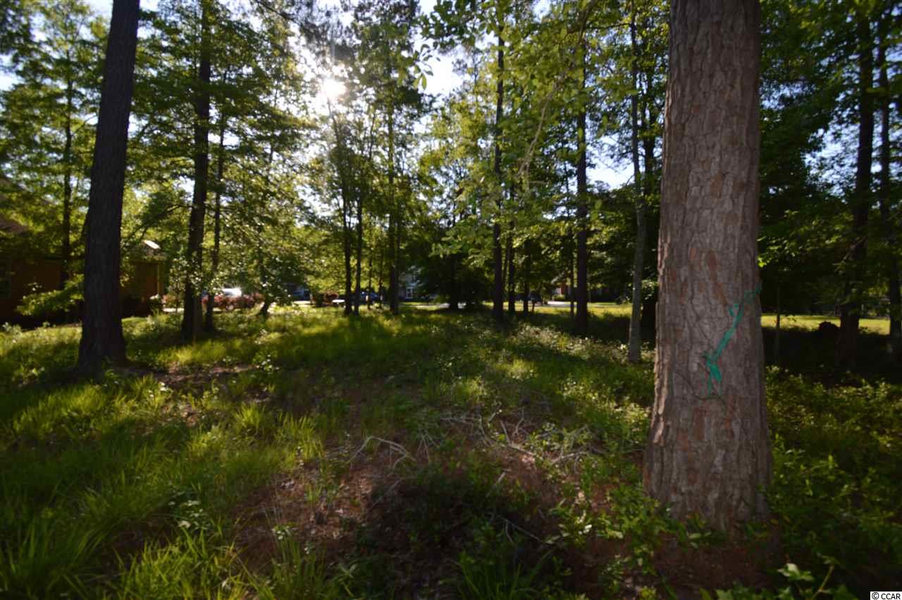 207 Chamberlin Road Myrtle Beach, SC 29588 - Photo 2 of 26 Gallery Image 2