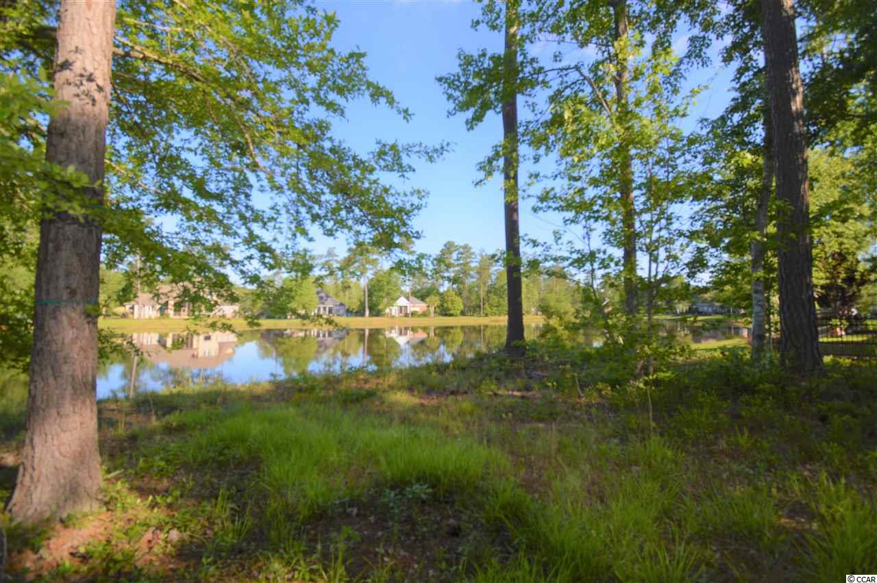 207 Chamberlin Road Myrtle Beach, SC 29588 - Photo 3 of 26 Gallery Image 3