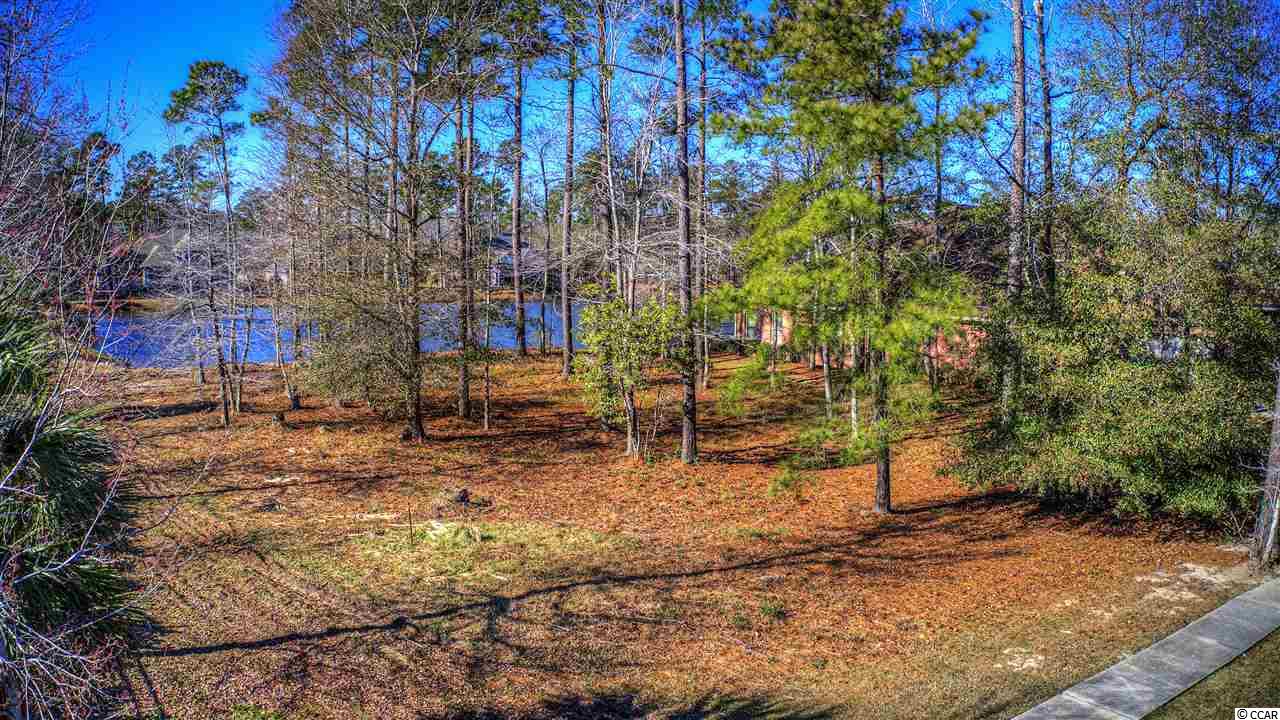 207 Chamberlin Road Myrtle Beach, SC 29588 - Photo 24 of 26 Gallery Image 24