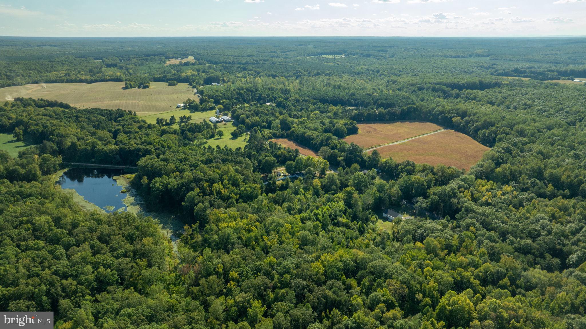 5676 Buckner Road Bumpass, VA 23024 - Photo 45 of 59