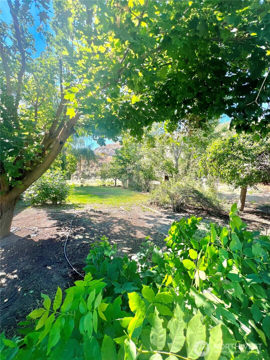 271A State Rte 20 Tonasket, WA 98855 - Photo 34 of 38