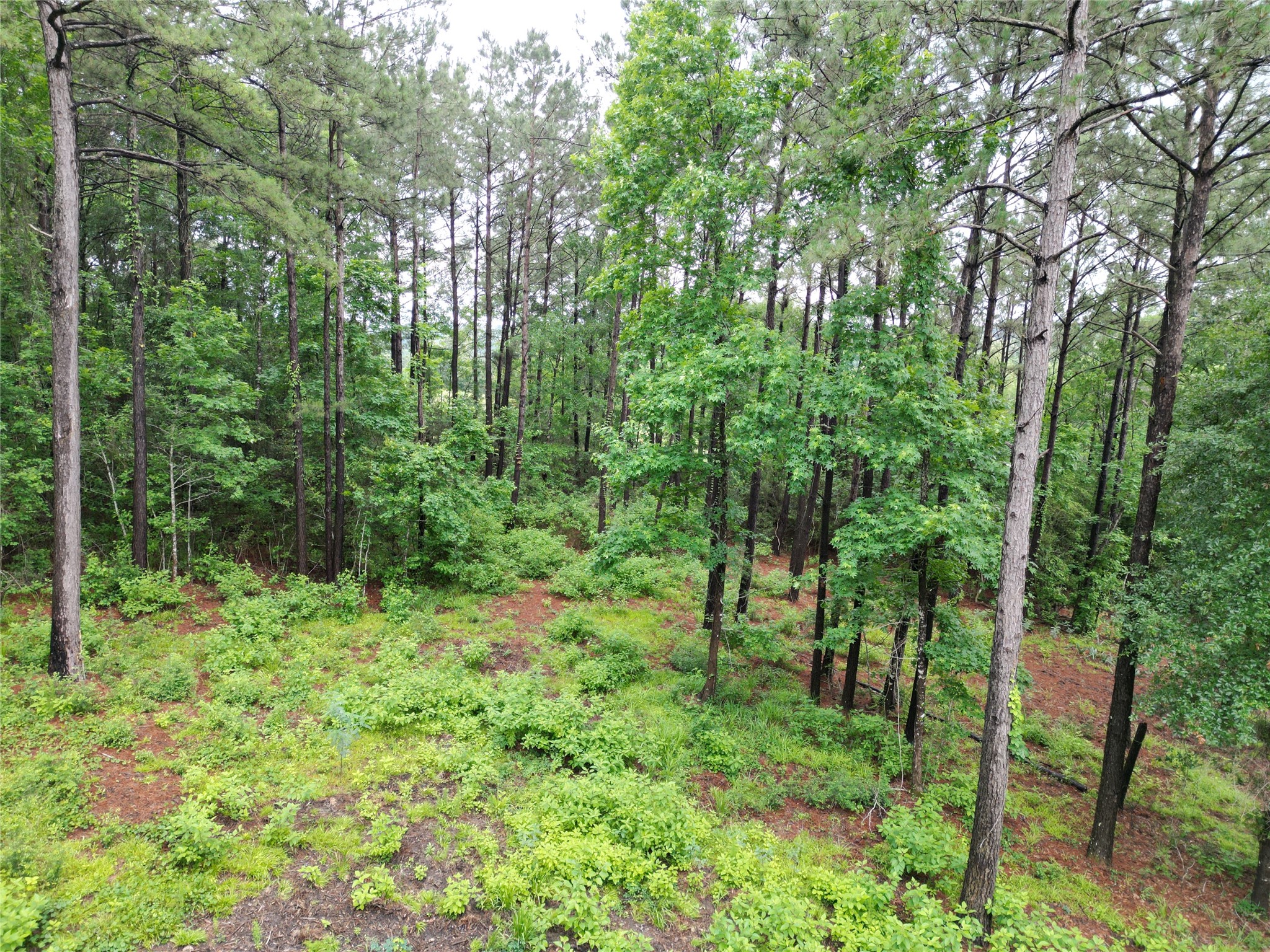 268 Cedar Valley Road Coldspring, TX 77331 - Photo 27 of 29