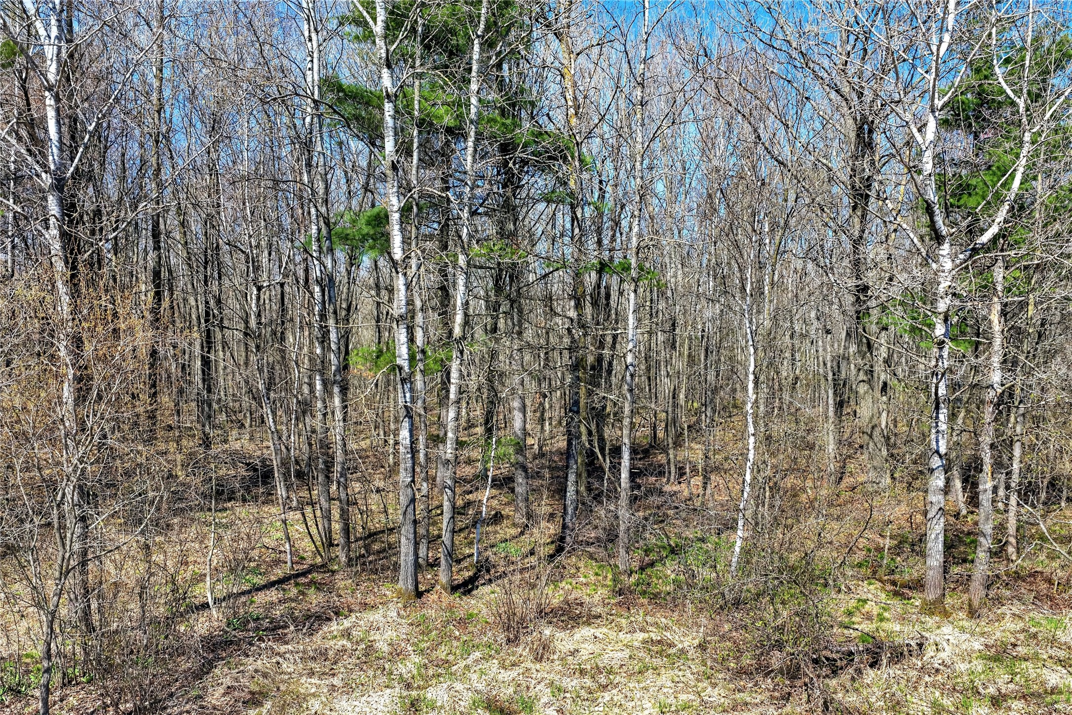 Tbd 9th Street Barronett, WI 54813 - Photo 7 of 19