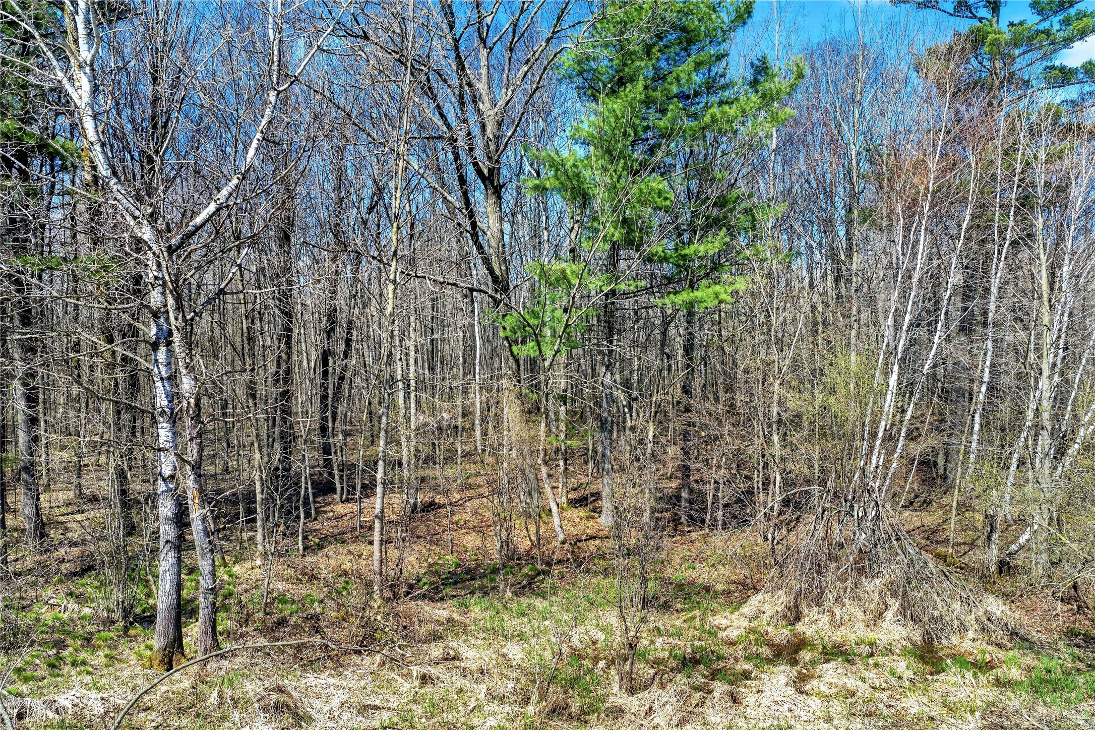 Tbd 9th Street Barronett, WI 54813 - Photo 8 of 19