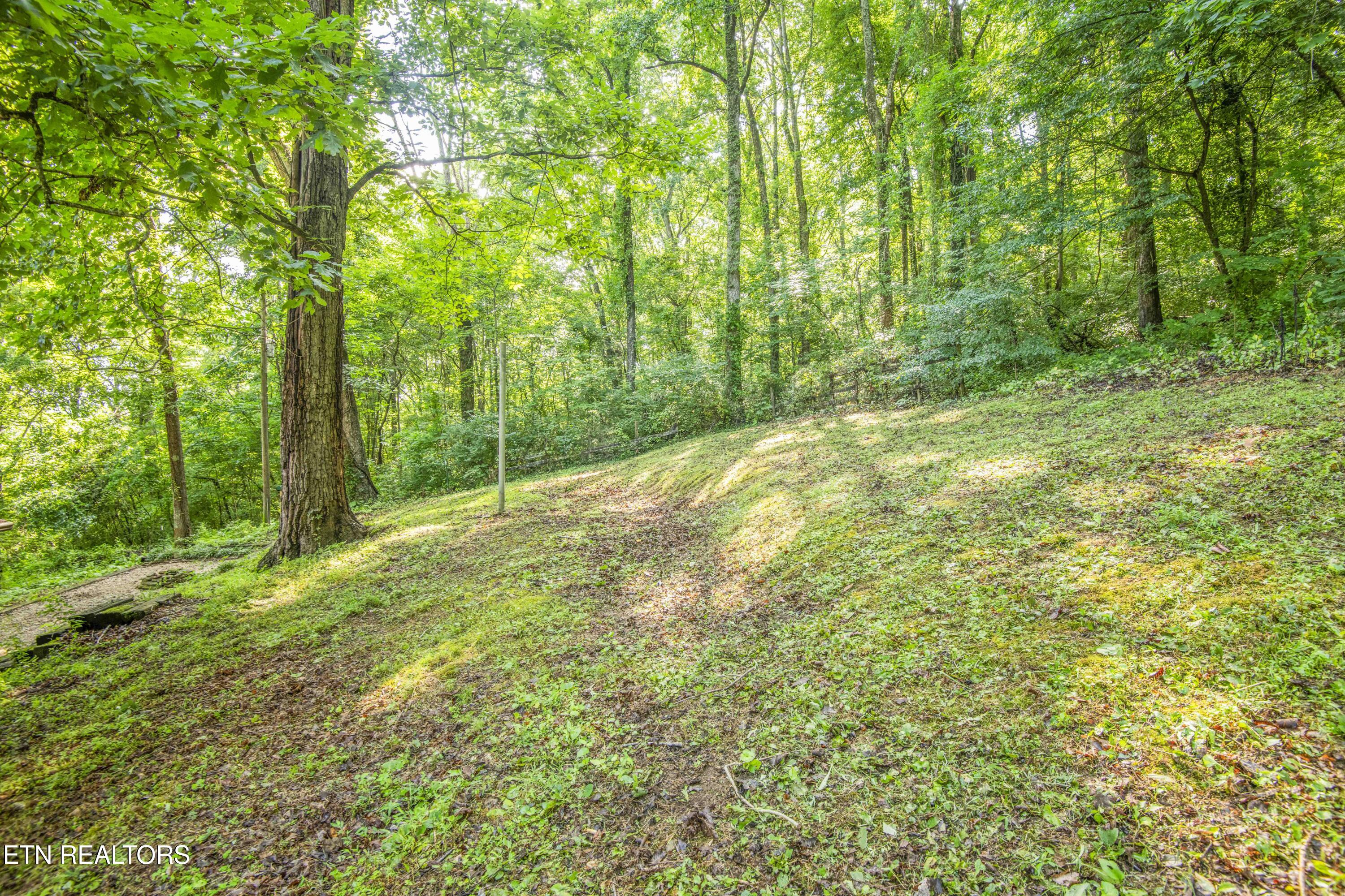 3110 Rifle Range Drive Knoxville, TN 37918 - Photo 39 of 53 yard 2_1