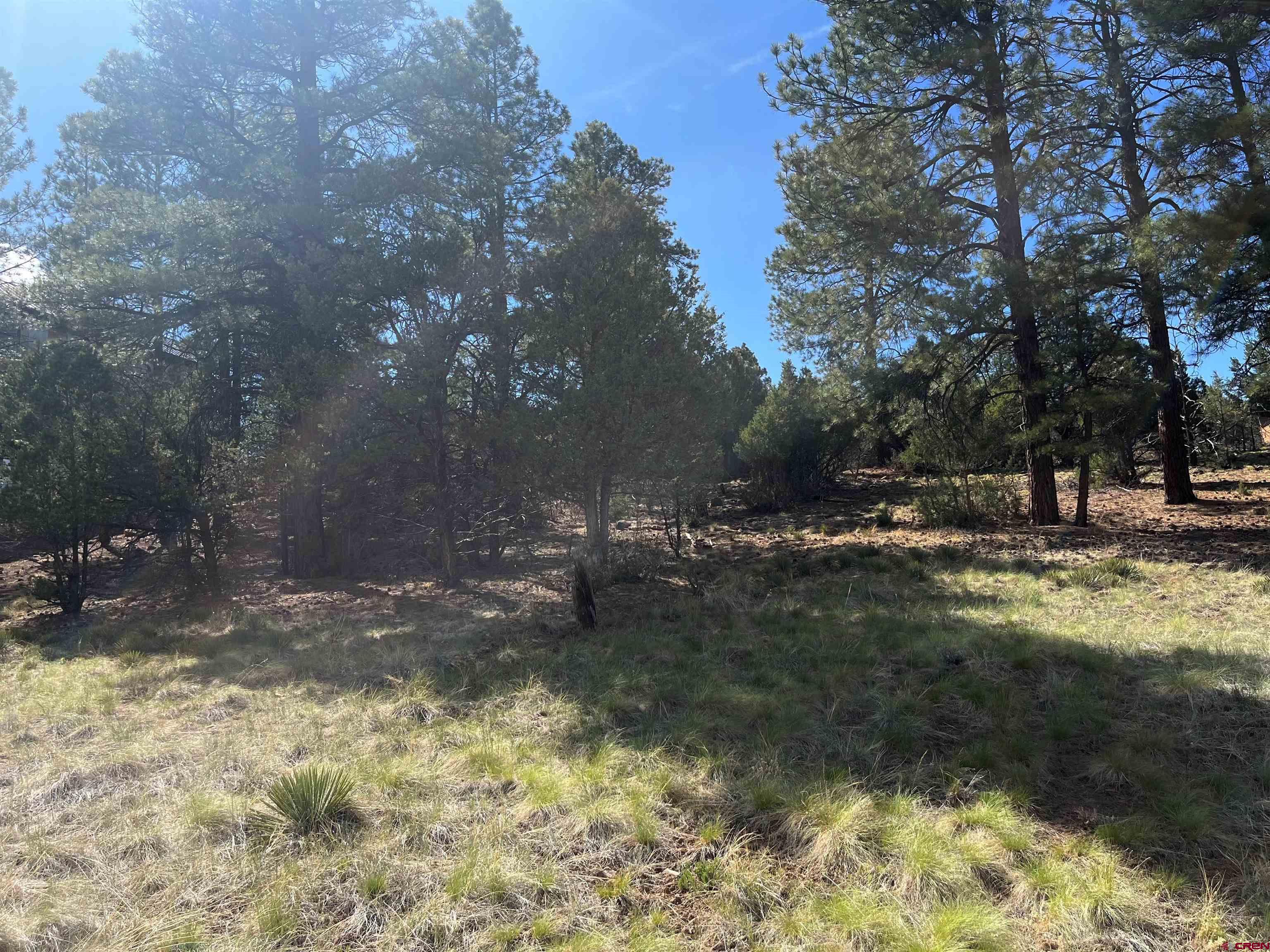 Tbd White Tail Lane Ridgway, CO 81432 - Photo 2 of 9 a view of a yard with trees