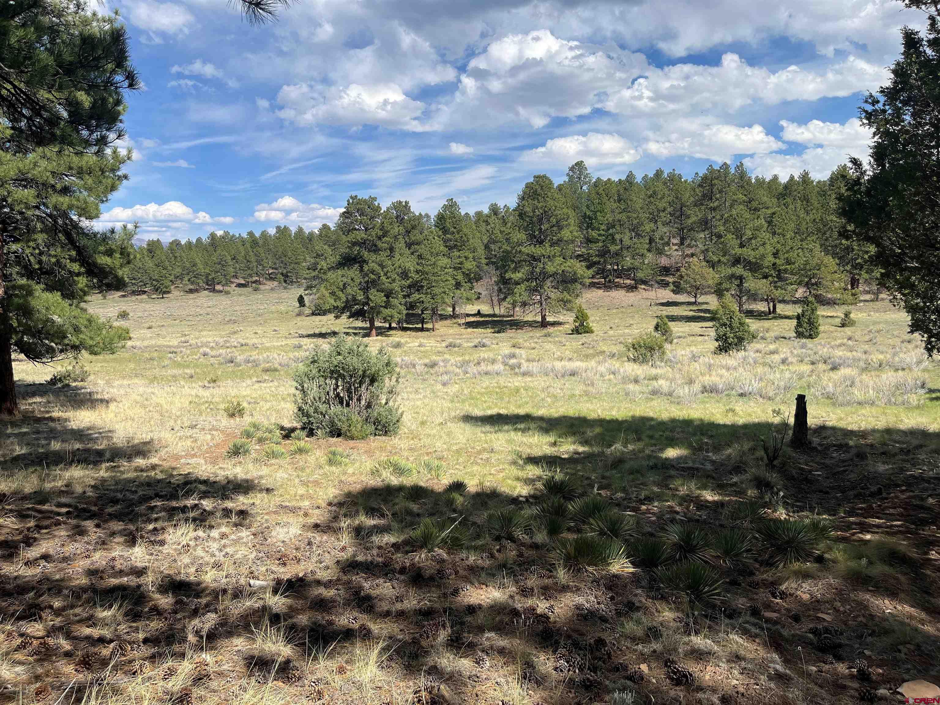 Tbd White Tail Lane Ridgway, CO 81432 - Photo 4 of 9 a view of a lake view