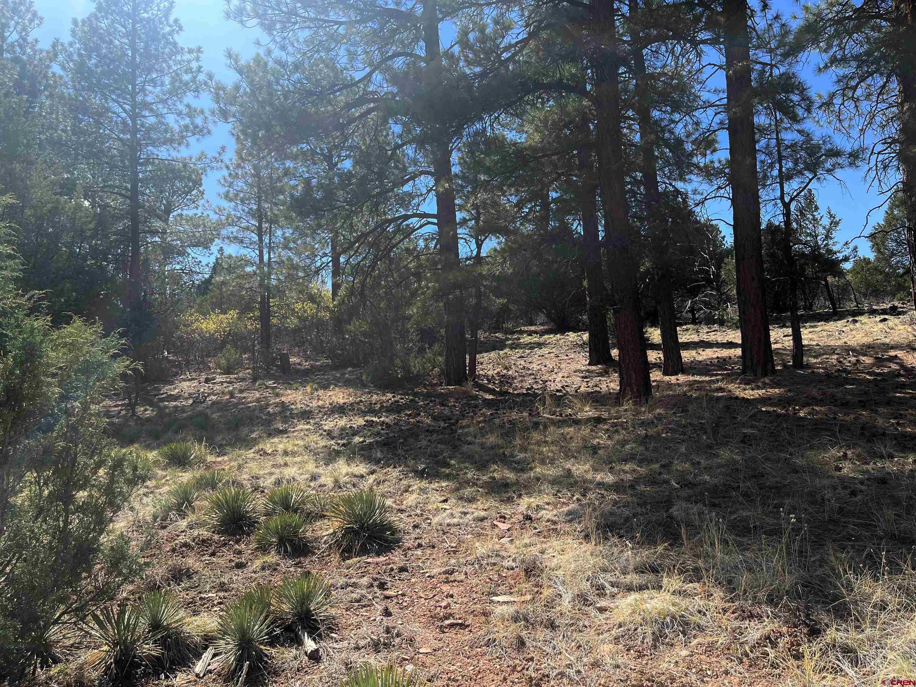 Tbd White Tail Lane Ridgway, CO 81432 - Photo 5 of 9 a view of park