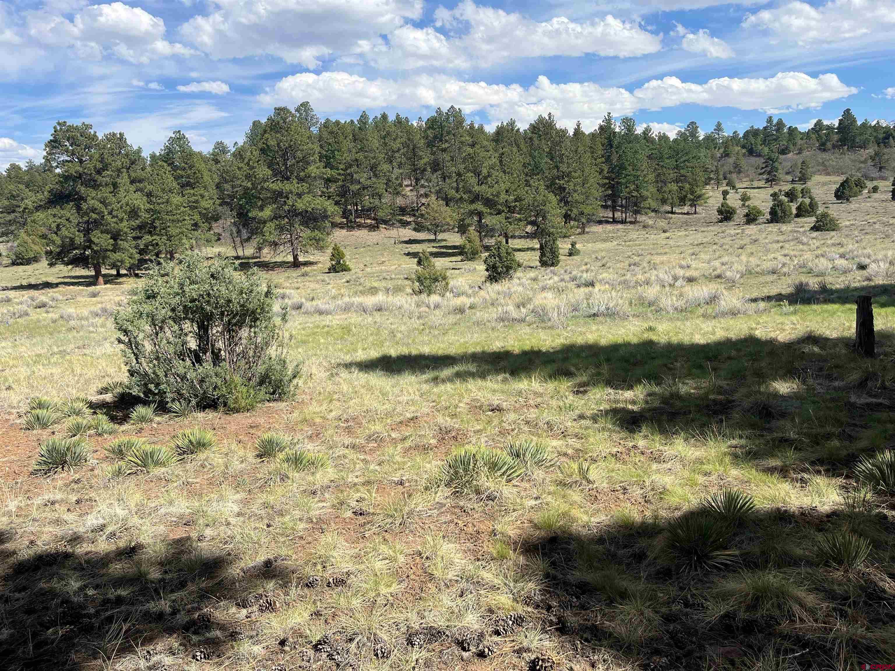 Tbd White Tail Lane Ridgway, CO 81432 - Photo 6 of 9 a view of a lake view