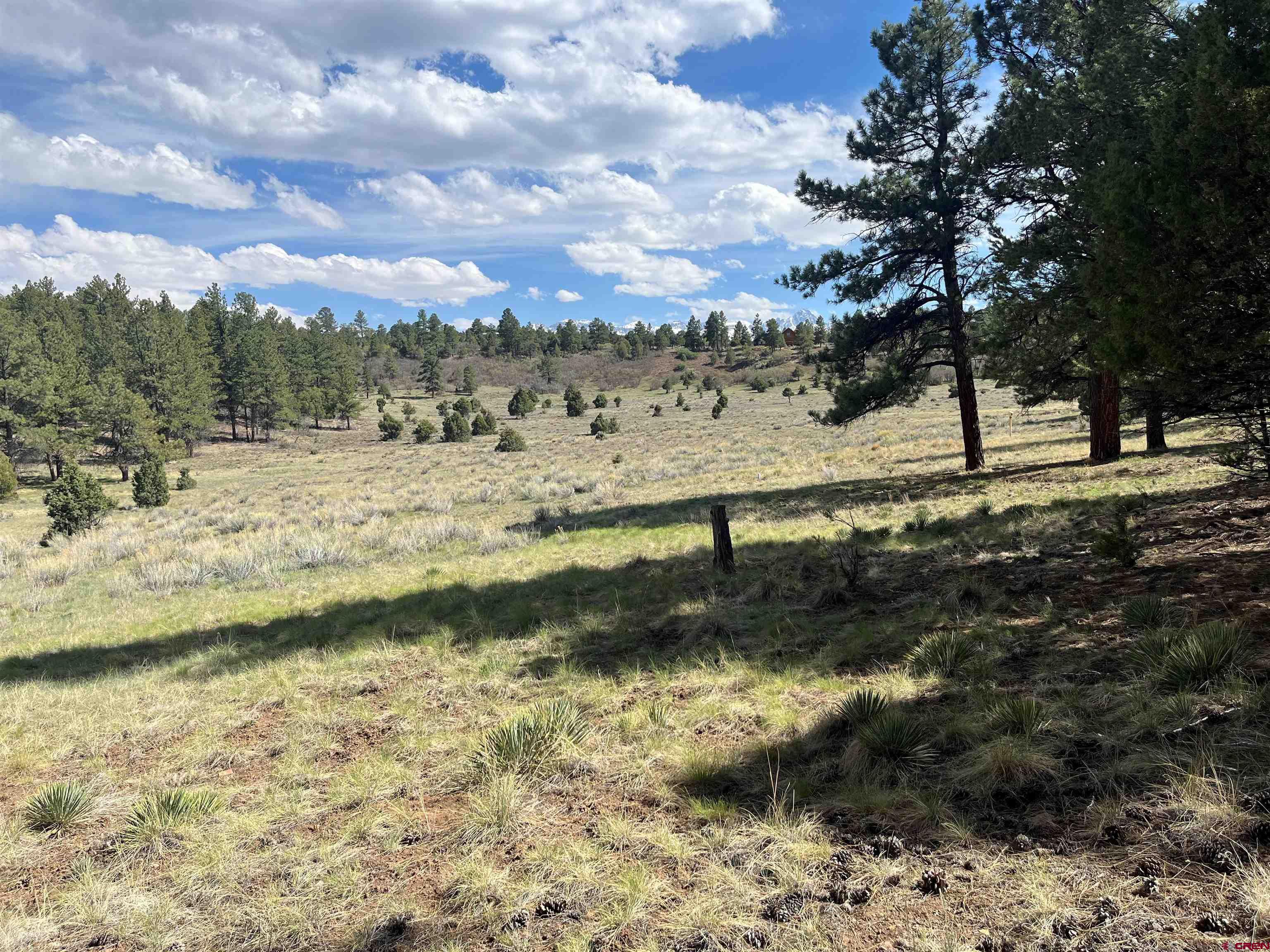 Tbd White Tail Lane Ridgway, CO 81432 - Photo 7 of 9