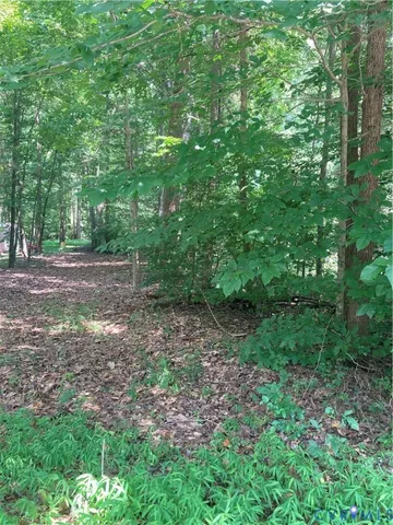 a view of backyard with green space