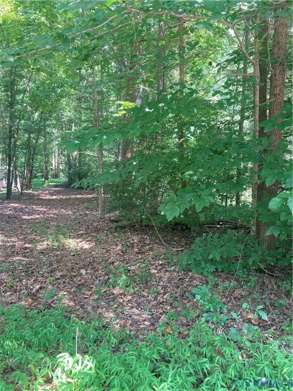 a view of backyard with green space