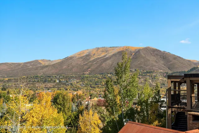 a view of a patio with iron fence