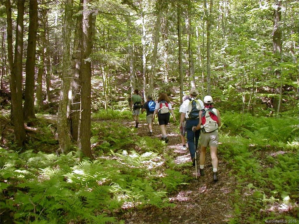 106 Rocky Ridge Road Pisgah Forest, NC 28768 - Photo 22 of 24 Gallery Image 22