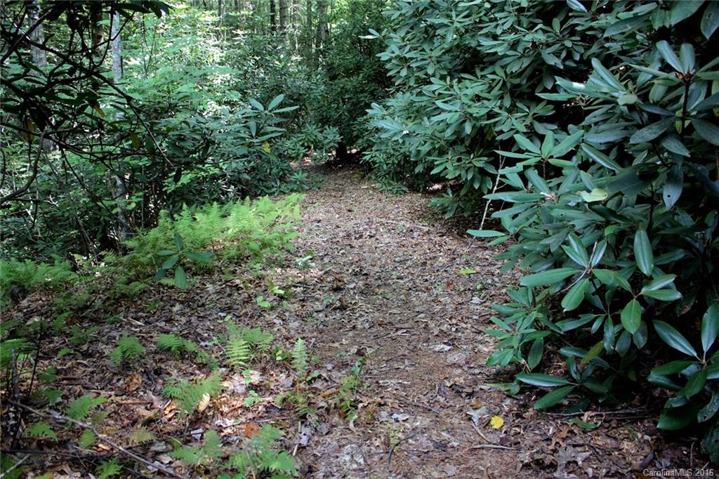 106 Rocky Ridge Road Pisgah Forest, NC 28768 - Photo 5 of 24 Gallery Image 5