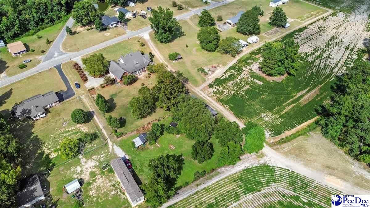 2271 Indian Branch Road Darlington, SC 29532 - Photo 64 of 66 Gallery Image 64