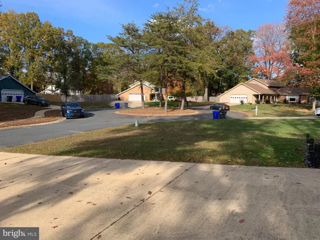 a view of a park with large trees
