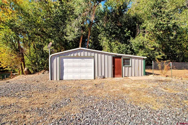 a view of a garden with plants and trees