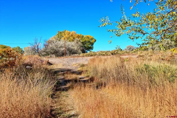 $524,999 | 12053 65th Highway, Eckert, CO 81418