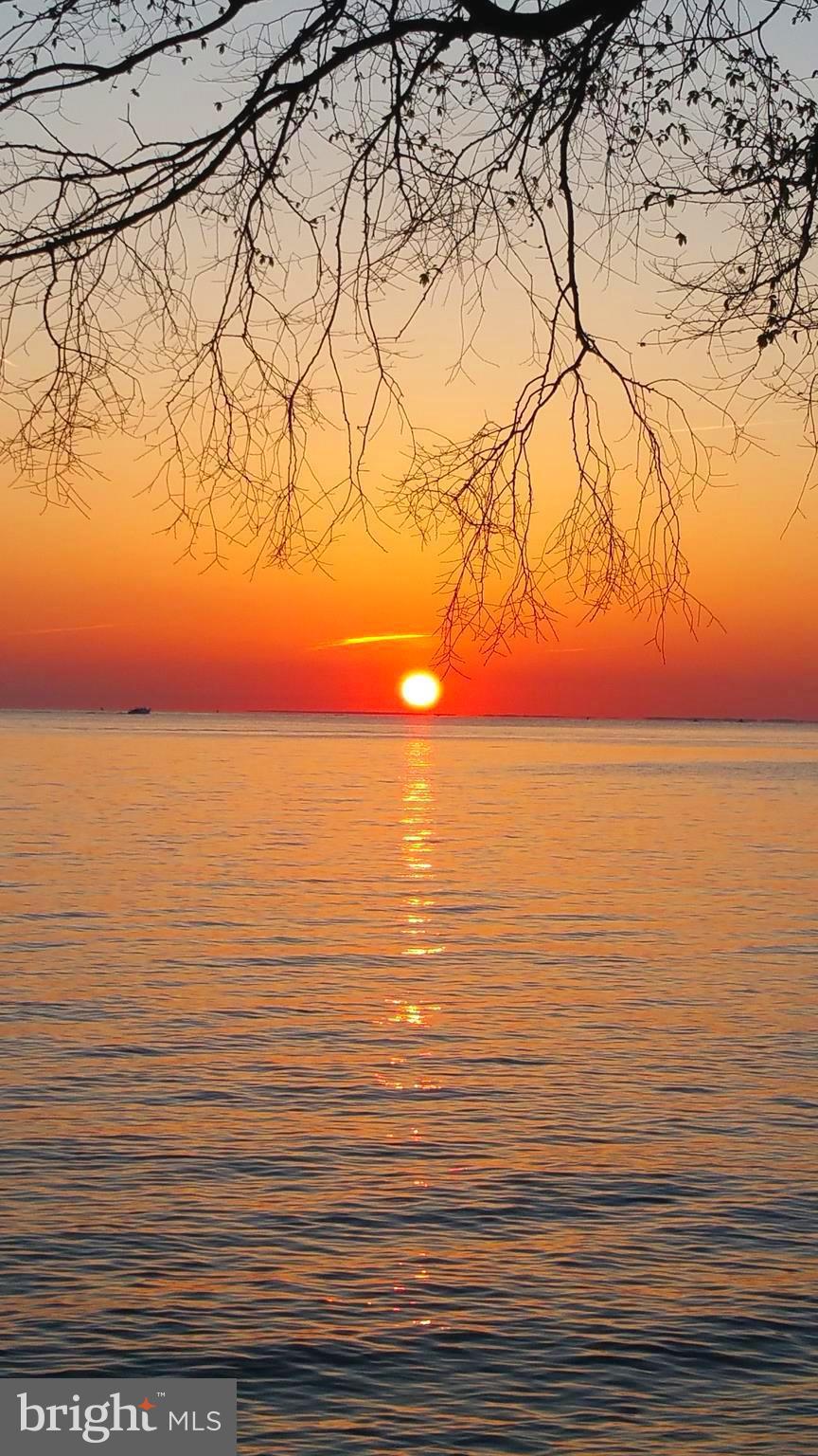 6353 Genoa Road Tracys Landing, MD 20779 - Photo 12 of 84 Beautiful sunrise over the bay.