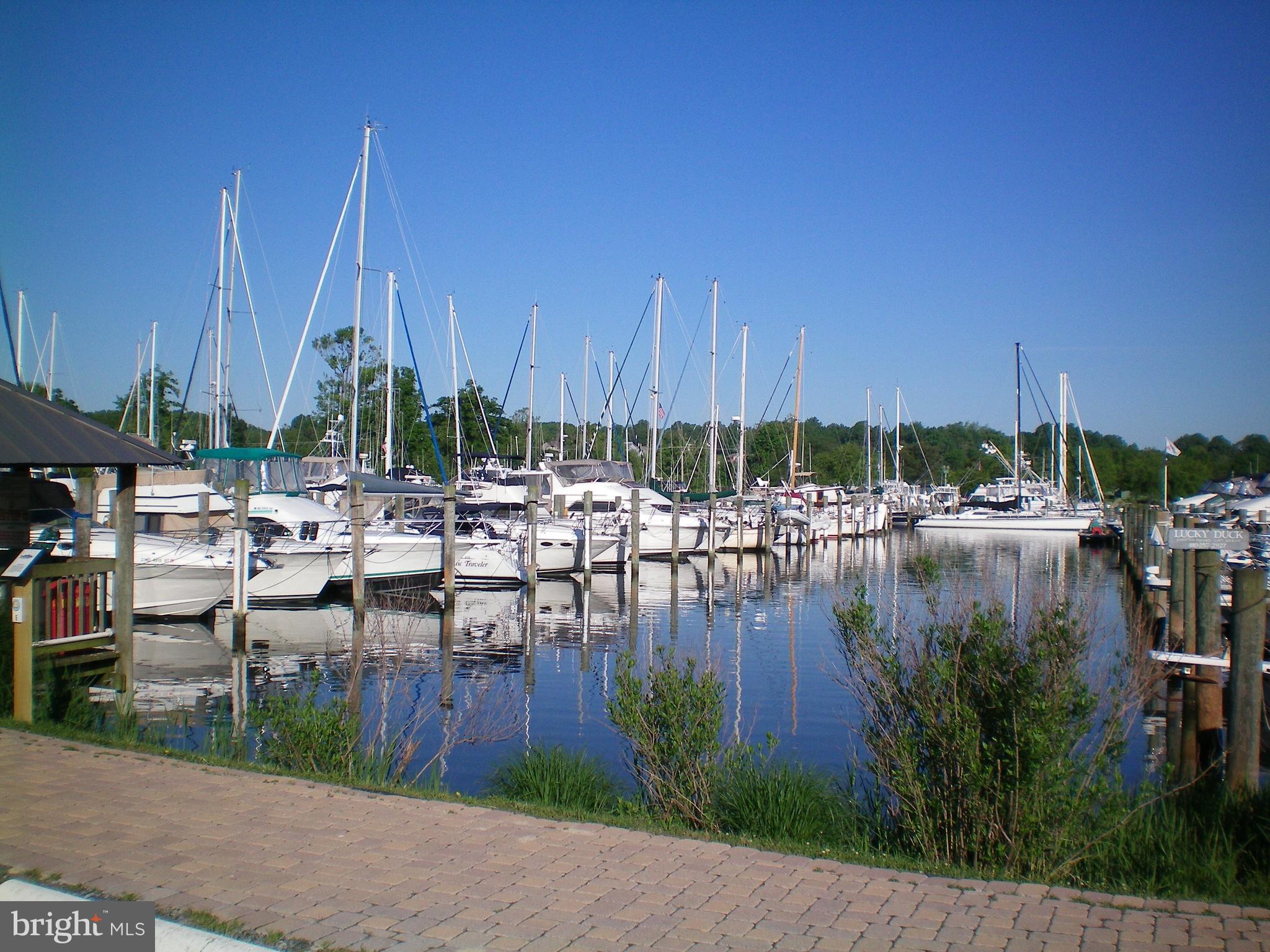 6353 Genoa Road Tracys Landing, MD 20779 - Photo 67 of 84 Herrington Harbour South