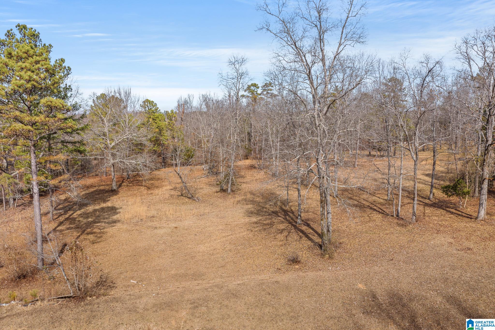 575 Mountain View Lane Springville, AL 35146 - Photo 78 of 84