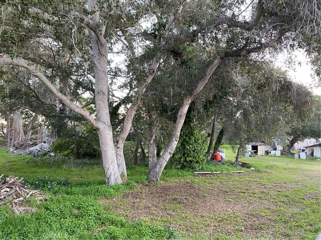 1595 Los Osos Valley Road, Unit 8A Los Osos, CA 93402 - Photo 46 of 73 a view of a tree in front of a house