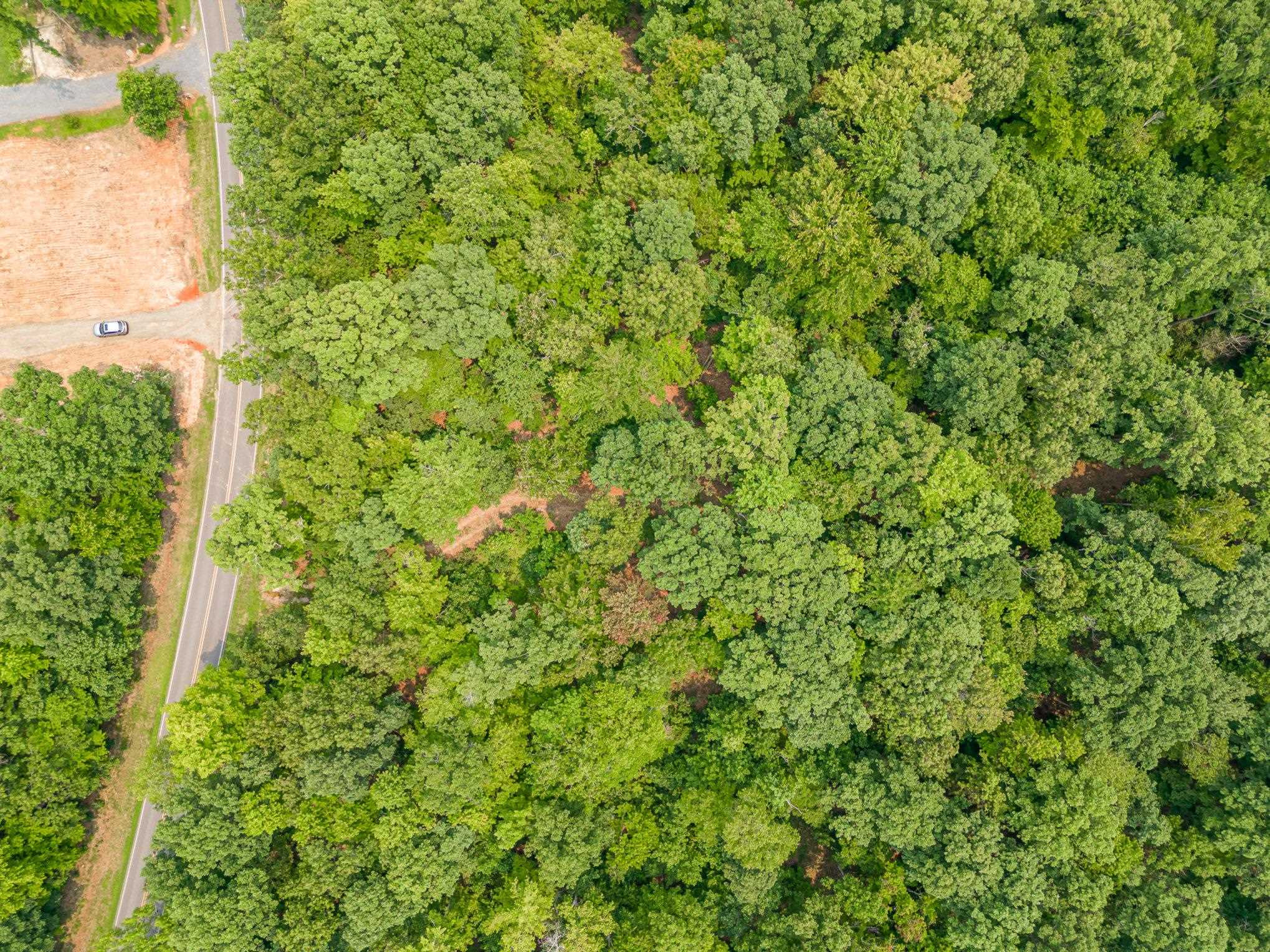 0 Lebanon Road Troy, NC 27371 - Photo 11 of 12 Photo 11