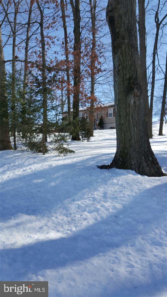 5632 Ambau Road Spring Grove, PA 17362 - Photo 3 of 32