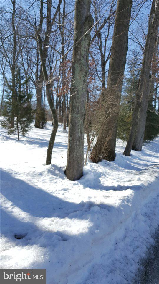 5632 Ambau Road Spring Grove, PA 17362 - Photo 7 of 32