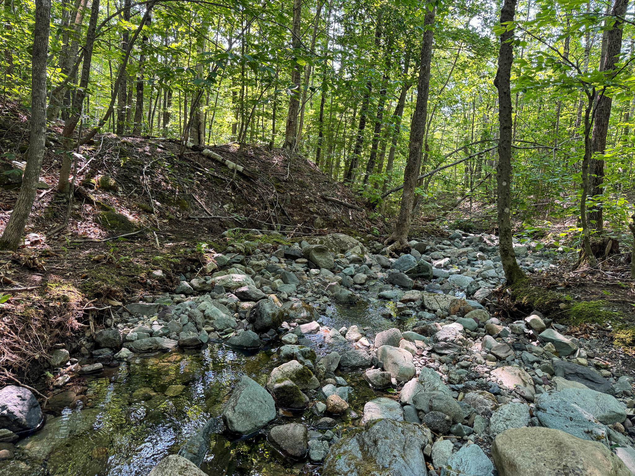 M8-l4 Mountain Road Mount Chase, ME 04765 - Photo 16 of 35 16