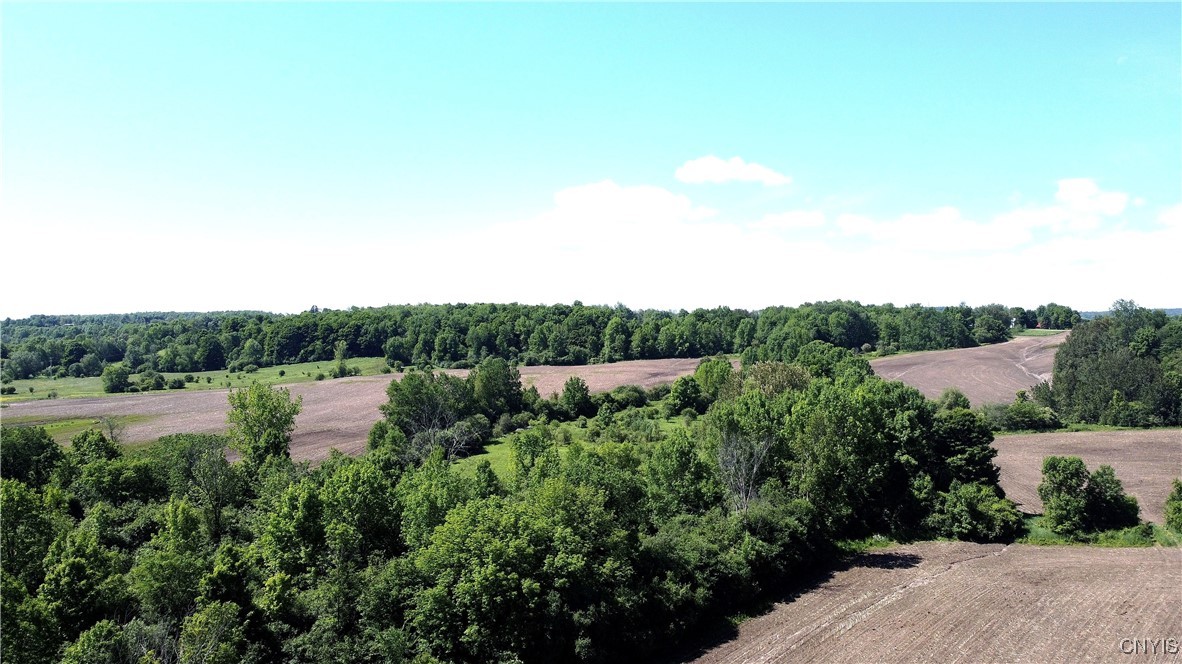 3965 Rt-12 Turin, NY 13473 - Photo 13 of 35