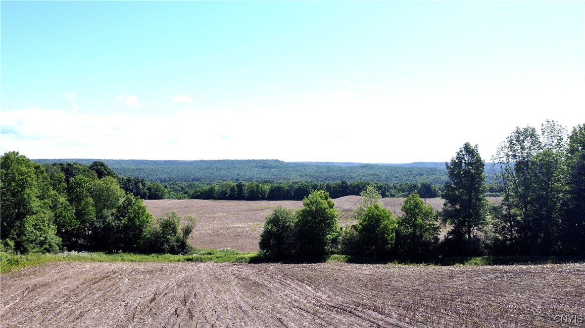 3965 Rt-12 Turin, NY 13473 - Photo 16 of 35