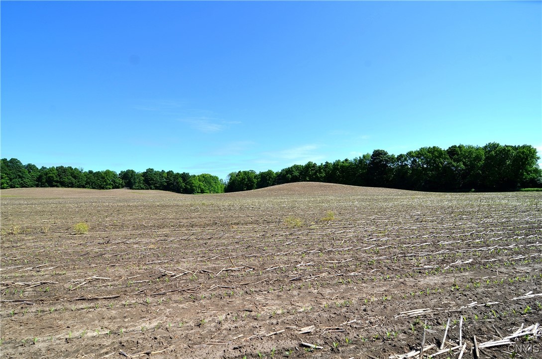 3965 Rt-12 Turin, NY 13473 - Photo 27 of 35