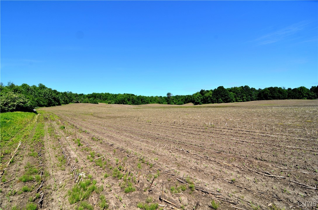 3965 Rt-12 Turin, NY 13473 - Photo 29 of 35