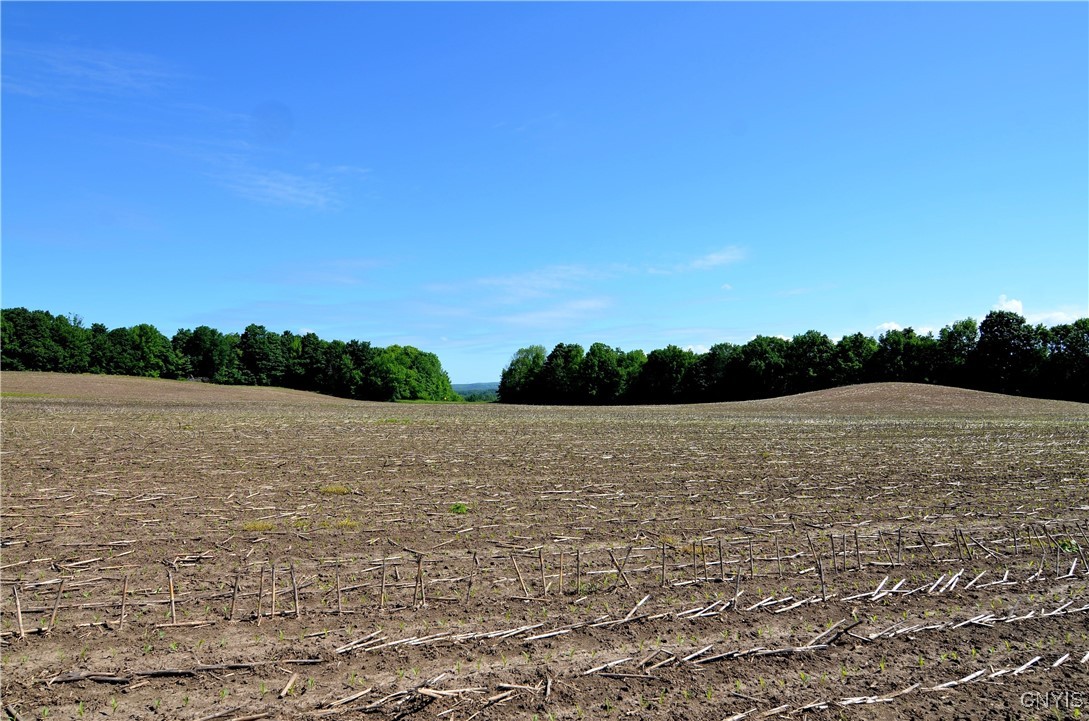 3965 Rt-12 Turin, NY 13473 - Photo 30 of 35