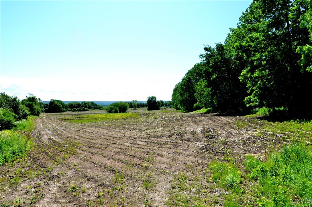 3965 Rt-12 Turin, NY 13473 - Photo 32 of 35