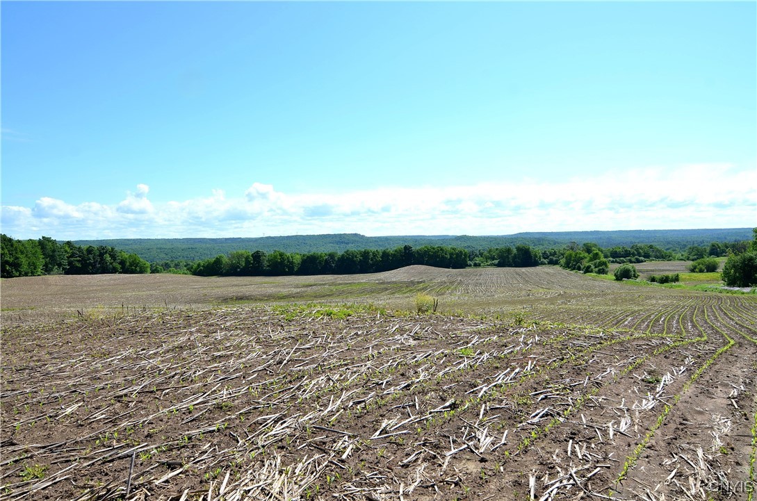 3965 Rt-12 Turin, NY 13473 - Photo 34 of 35