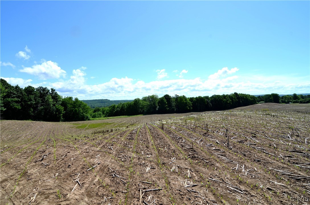 3965 Rt-12 Turin, NY 13473 - Photo 35 of 35