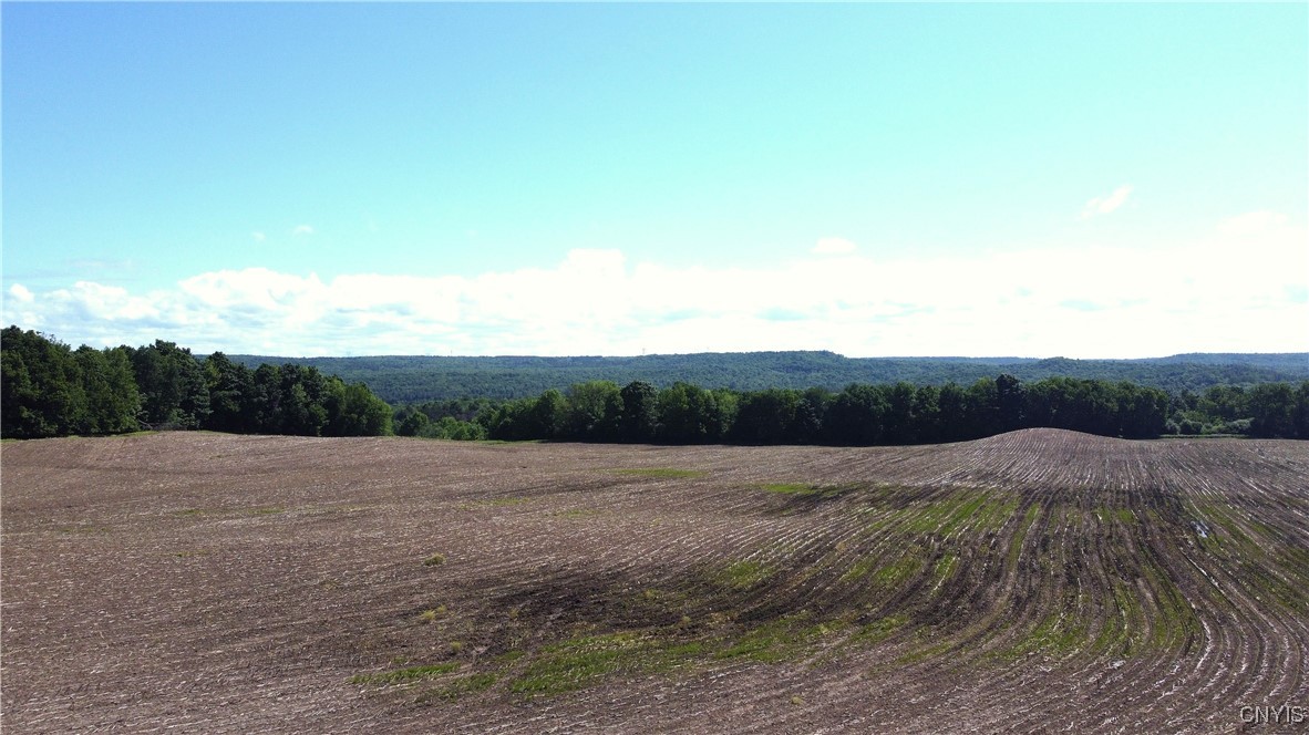 3965 Rt-12 Turin, NY 13473 - Photo 8 of 35